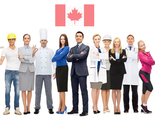 Jobs in Canada That Can Get You Visa Sponsorship Visafest